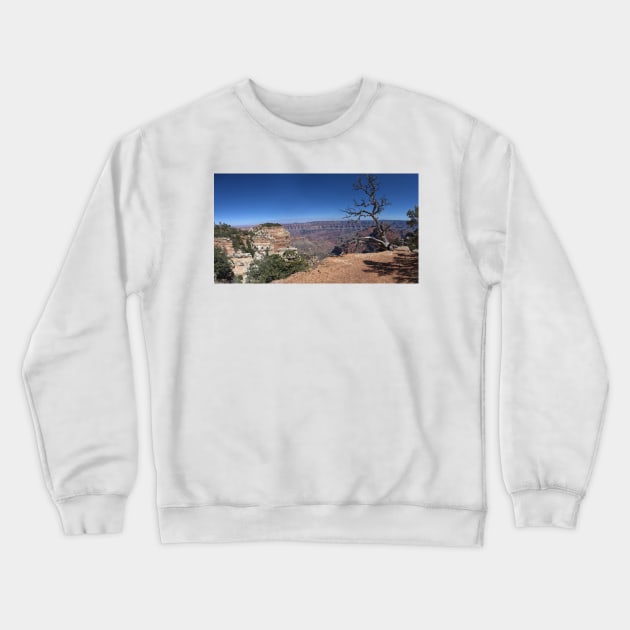 850_8644 Crewneck Sweatshirt by wgcosby